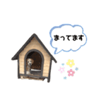 ビーグルファミリー（個別スタンプ：14）