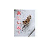 sakurasta（個別スタンプ：6）