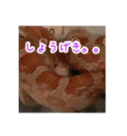 コーンスネークのマロンとセラフ（個別スタンプ：8）