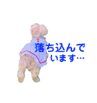 くるたん♡（ヨークシャテリア）（個別スタンプ：13）