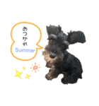 ハノンスタンプ（個別スタンプ：6）