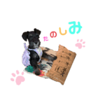 ハノンスタンプ（個別スタンプ：8）