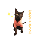 ボクちゃんステッカー（個別スタンプ：2）