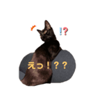 ボクちゃんステッカー（個別スタンプ：4）