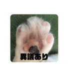 我が家のちょこくん2（個別スタンプ：2）