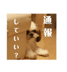 ラブリー アラン2（個別スタンプ：17）