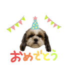 ラブリー アラン2（個別スタンプ：22）