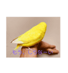 インコが吹き替えてみた心の声スタンプ（個別スタンプ：7）