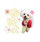 空＆華のスタンプ（個別スタンプ：1）
