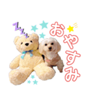 空＆華のスタンプ（個別スタンプ：2）