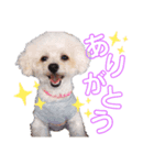 空＆華のスタンプ（個別スタンプ：3）