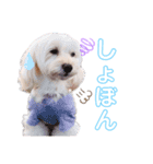 空＆華のスタンプ（個別スタンプ：7）