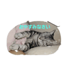 モコたま麦（個別スタンプ：3）