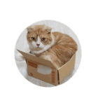 モコたま麦（個別スタンプ：11）