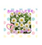 お花のスタンプ ちょこっと関西弁（個別スタンプ：3）
