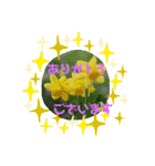 お花のスタンプ ちょこっと関西弁（個別スタンプ：9）