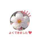 お花のスタンプ ちょこっと関西弁（個別スタンプ：12）