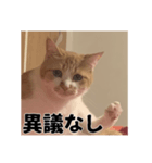 いくらが物申す（個別スタンプ：2）