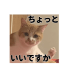 いくらが物申す（個別スタンプ：3）