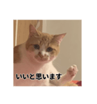 いくらが物申す（個別スタンプ：4）