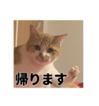 いくらが物申す（個別スタンプ：5）