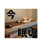 いくらが物申す（個別スタンプ：7）