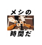 いくらが物申す（個別スタンプ：8）