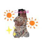 家族トーキング（個別スタンプ：11）