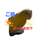 ゆうがくん！！！（個別スタンプ：1）
