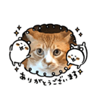 とら猫   とらさん（個別スタンプ：2）