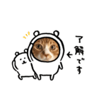 とら猫   とらさん（個別スタンプ：3）