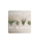 ナチュラル可愛い（個別スタンプ：2）