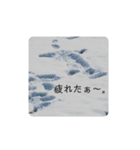 ナチュラル可愛い（個別スタンプ：15）