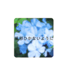 ナチュラル可愛い（個別スタンプ：23）