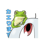 晴れたらいいね！（個別スタンプ：8）