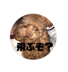 やっほーーーーーーい（個別スタンプ：3）