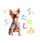 ヨーキー♡COCO②（個別スタンプ：7）