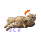 はんぺんの可愛いスタンプ（個別スタンプ：2）