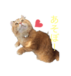 はんぺんの可愛いスタンプ（個別スタンプ：8）