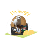 ぼくはしろ。Ⅱ（個別スタンプ：5）