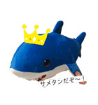 サメタン王国2（個別スタンプ：1）