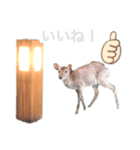 サメタン王国2（個別スタンプ：2）