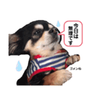 ミシェルトイ翔くん（個別スタンプ：2）