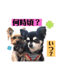 ミシェルトイ翔くん（個別スタンプ：3）