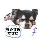 ミシェルトイ翔くん（個別スタンプ：4）