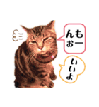 ミシェルトイ翔くん（個別スタンプ：6）