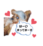 ミシェルトイ翔くん（個別スタンプ：9）