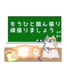 みかんともも敬語スタンプ（個別スタンプ：19）