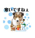 パピシェル②王子くん 季節の【挨拶編】（個別スタンプ：4）