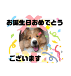 パピシェル②王子くん 季節の【挨拶編】（個別スタンプ：12）